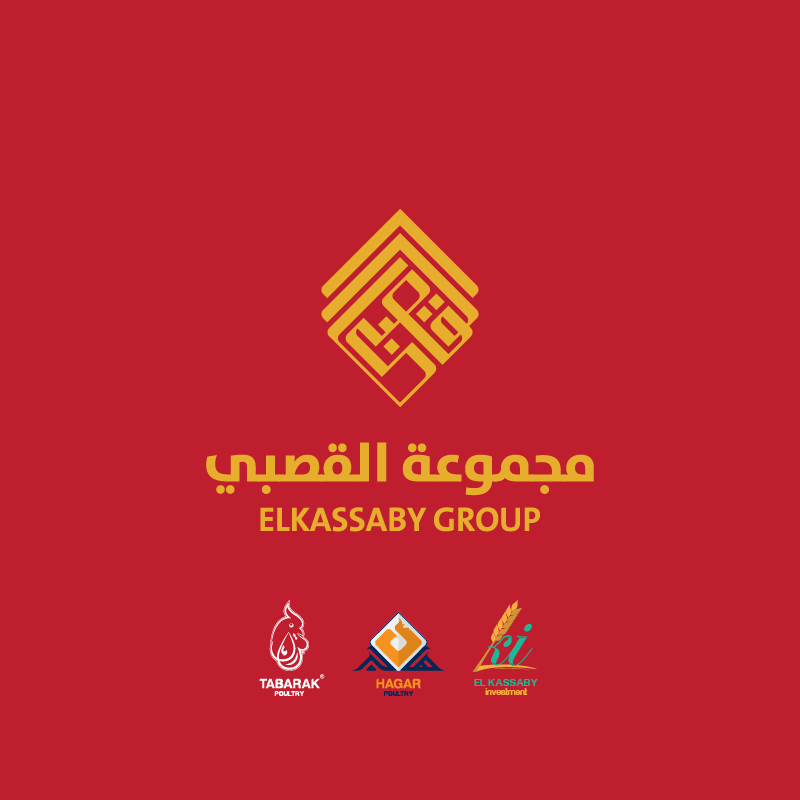 مجموعة القصبي