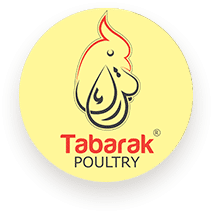 Tabarak Poultry
