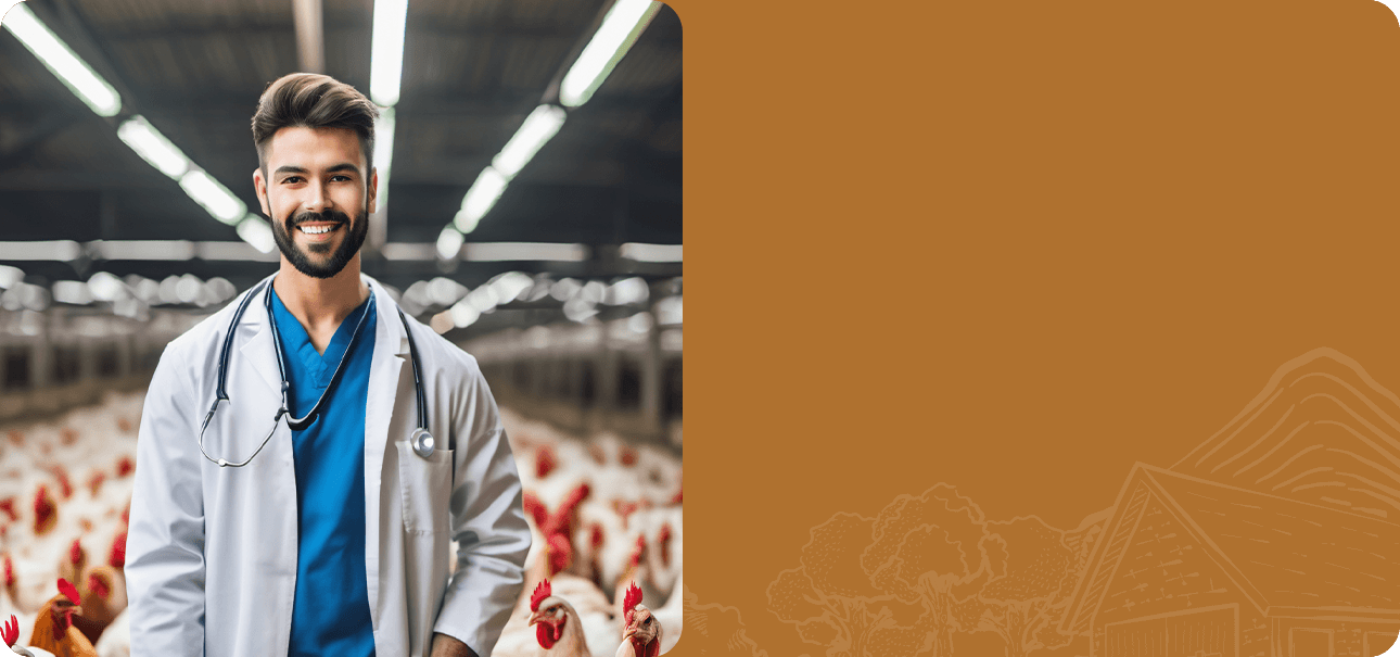 طبيب بيطري دواجن